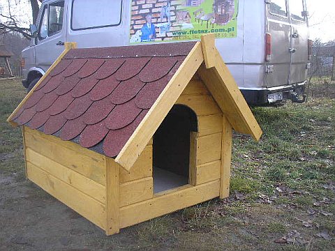 dog house